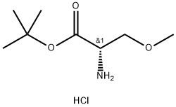 98+ White Powder    L-ser(me)-Otbu.Hcl   CAS NO.1821839-04-6
